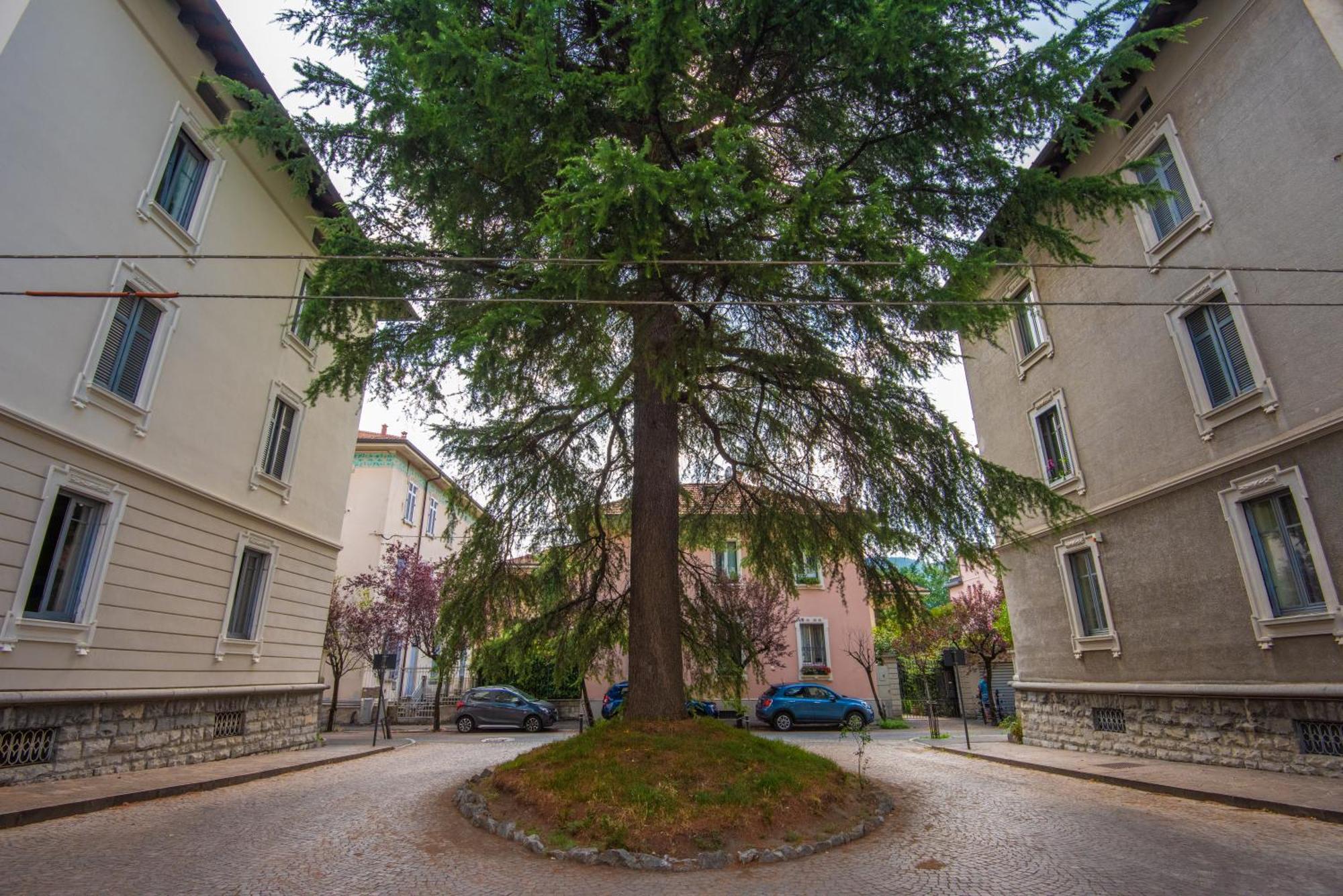 West Park Suite With Parking By Holiday Solutions Côme Esterno foto